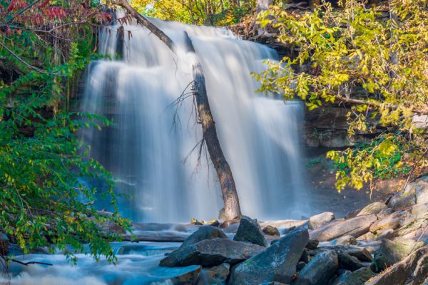 Waterdown Ontario Real Estate Guide