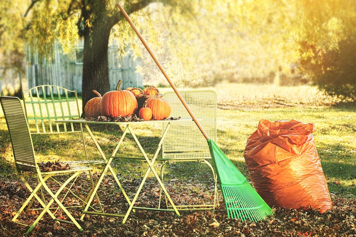 Fall Maintenance Tips For Your Burlington Home